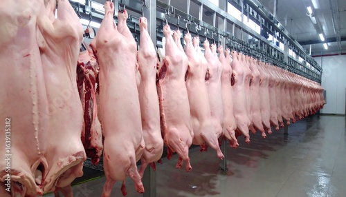 Rows of fresh pig carcasses hanging from overhead rails.