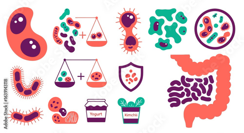 Probiotics with Gut Health Vector illustration.