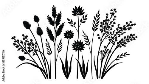 Vector art of black silhouette of a collection of wild grasses and flowers, isolated on white background.
