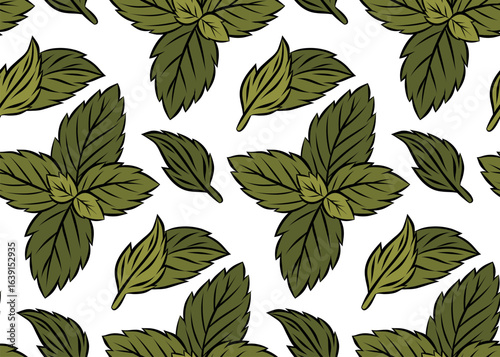 Vector seamless pattern with hand drawn mint leaves. Doodle peppermint texture on white background. Leaves backdrop for fabrics and wallpapers