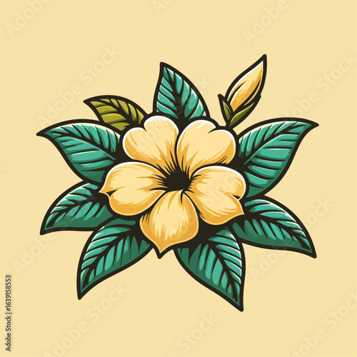 illustration of frangipani flower