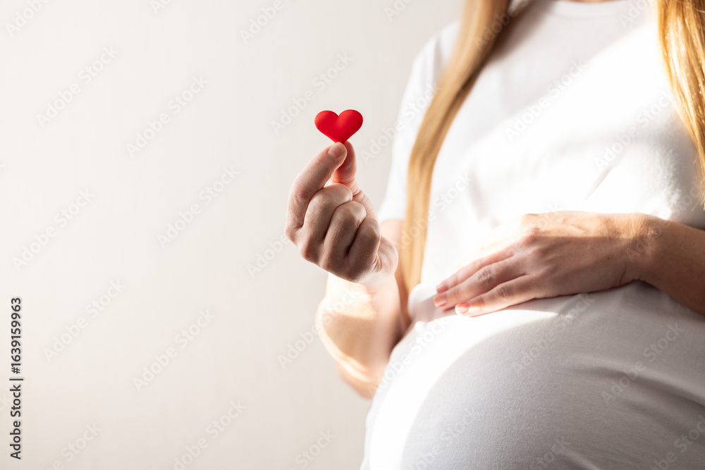 Pregnant woman holding little red heart in her hand and gently touching her big belly. Closeup. Pregnant woman holding little red heart in her hand and gently touching her big belly. Closeup.
