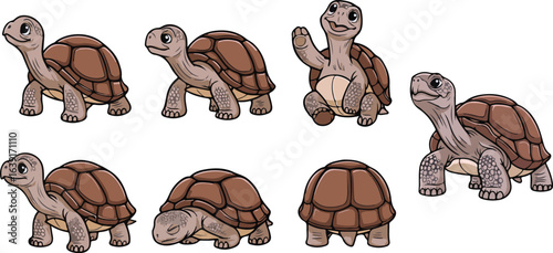 vector illustration of galapagos turtle tortoise funny cute cartoon mascot character cartoon with 7 poses 