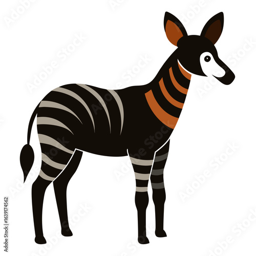 zebra isolated on white