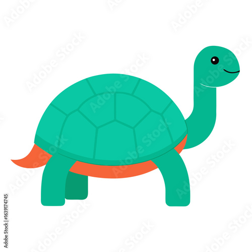 funny turtle cartoon