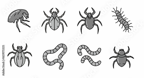 A collection of different insect species in a monochrome illustrations.