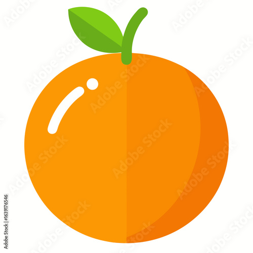 vector illustration of orange fruit
