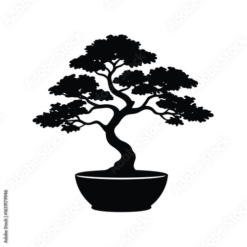 bonsai tree isolated on white