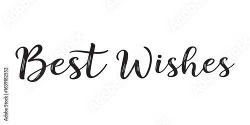 Elegant Script Text Displaying Warm Best Wishes Message For Celebrations or Greetings