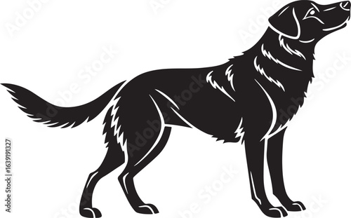 Black silhouette of a Labrador retriever dog standing