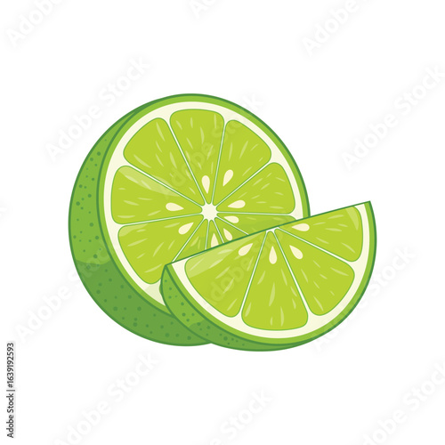 Fresh Lime Fruit Half and Slice Illustration