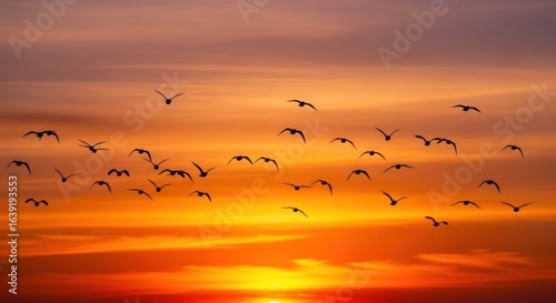 Wallpaper Mural Silhouette of Birds Flying at Sunset, Orange Sky. Torontodigital.ca