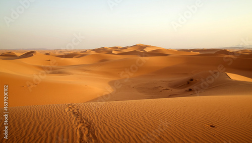 Fototapeta Naklejka Na Ścianę i Meble -  A desert landscape with soft, golden sand dunes.