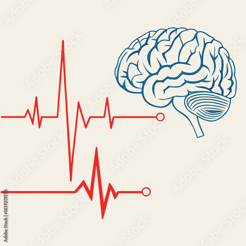 human brain vector illustration