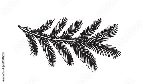 Christmas black tree branch on white hand drawn