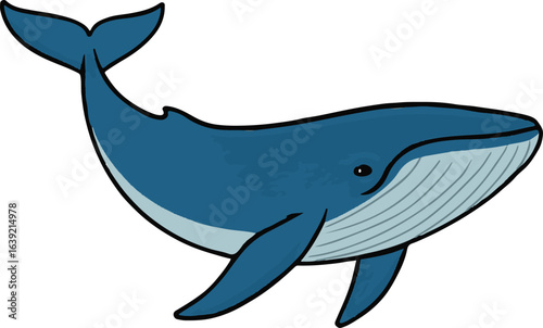 Blue Whale Isolated Vector Illustration – Marine Mammal Graphic in Flat Style on White Background