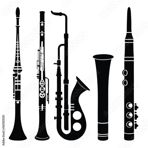 A Collection of Woodwind Instruments Displaying a Unique Musical Ensemble with Artistic Flair and Intricate Details in Black and White