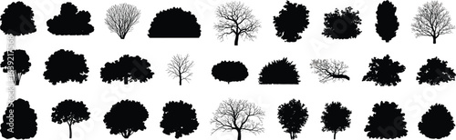 Tree and bush silhouette set, nature plant shapes, forest landscape elements, garden vegetation design, botanical black vector collection, flat vector illustration