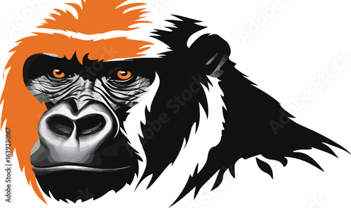 Gorilla head graphic illustration