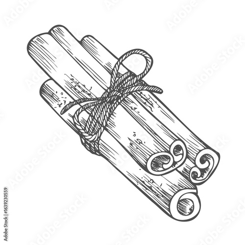 Illustration of cinnamon in sketch style. Design element for emblem, sign, poster, card, banner, flyer. Vector illustration