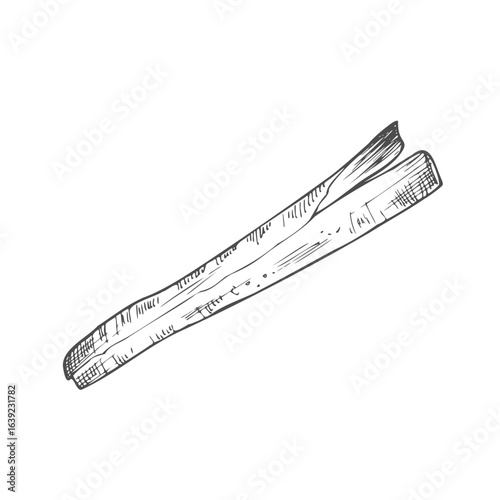 Cinnamon sticks. Ink sketch set. Hand drawn vector illustration.