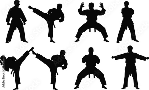 Karate martial arts silhouettes in various poses, high kicks, stances, self-defense techniques, training, black belt, fitness, combat, discipline, sport, power