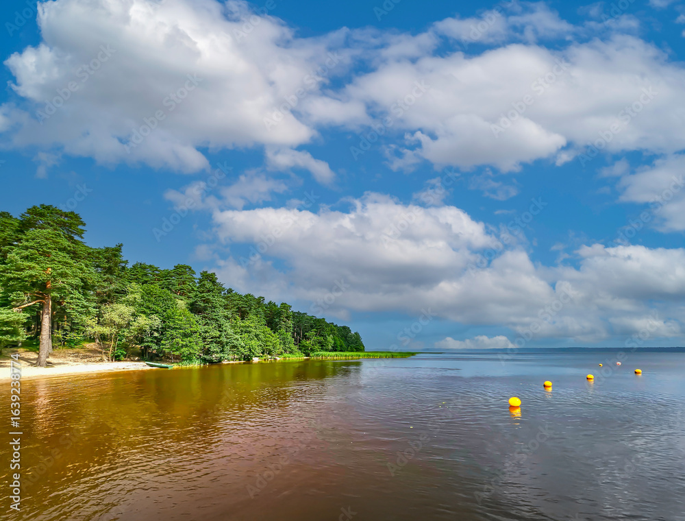 Fototapeta premium Panorama of blue sky with small cumulus clouds over beautiful Kisezers lake - one of the largest freshwater lakes with access in Baltic Sea. Riga, Latvia