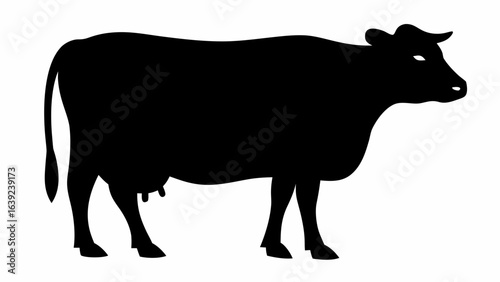 Silhouette of a cow standing in profile with visible udder and tail on a white background image view