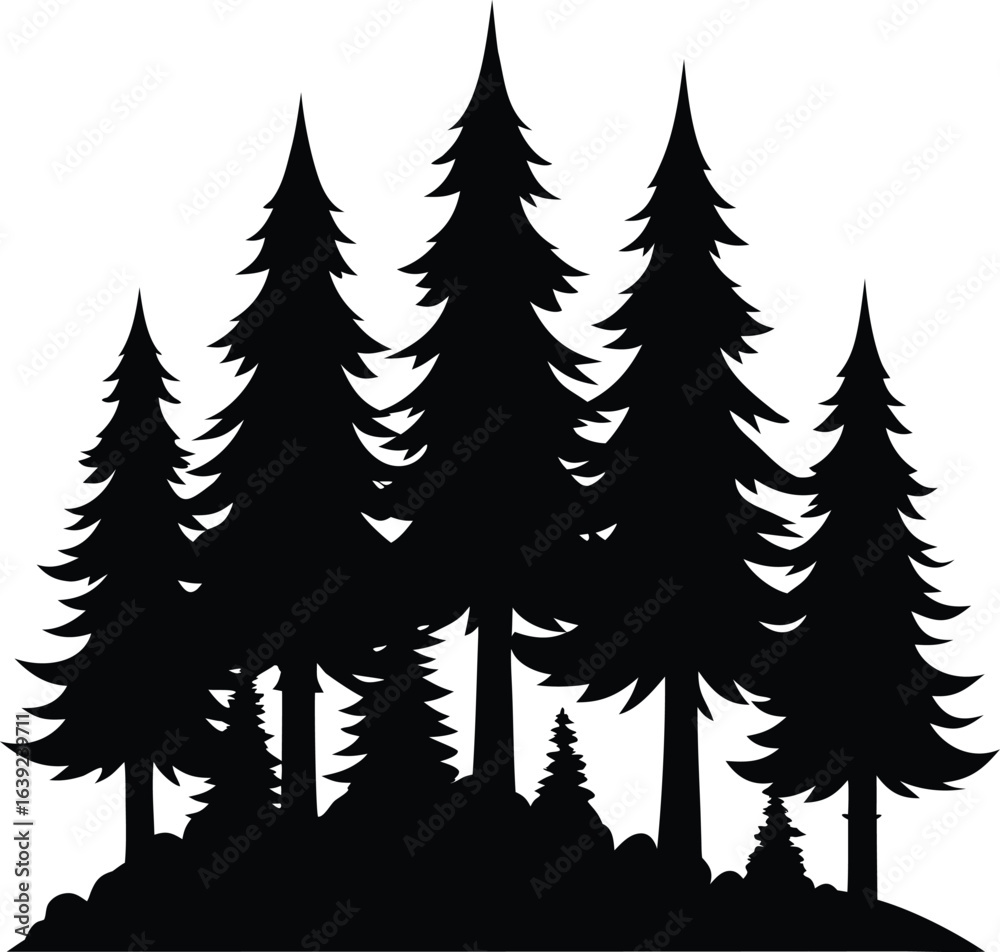 Obraz premium silhouettes of trees