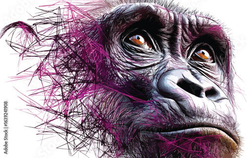 Gorilla portrait digital painting illustration
