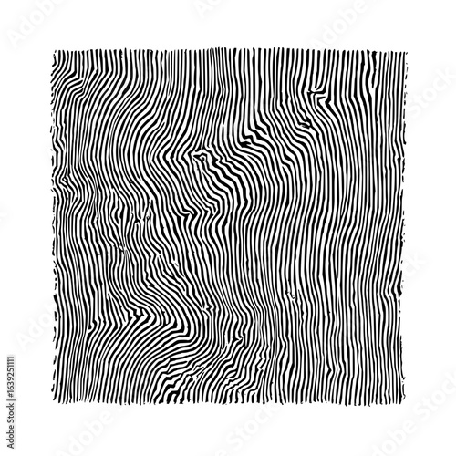 Abstract monochrome image featuring closely spaced vertical lines with varied and wavy patterns creating texture