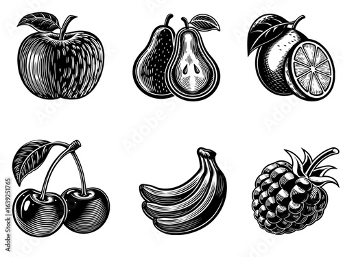 Vintage Fruit Collection - Black and White Woodcut Style Illustrations