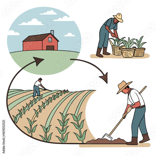 Farm Life Cycle: An illustration of a farm showcases a cyclical process. The image encompasses harvesting to planting.