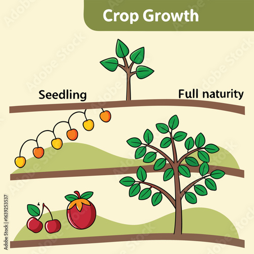 Crop Growth: A visually engaging illustration showcases the stages of crop development, from the initial seedling to the full maturity, highlighting the cycles of nature's abundance. 