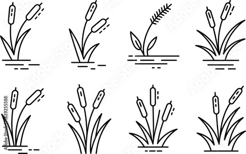 Eight black and white icons of cattails and reeds plant