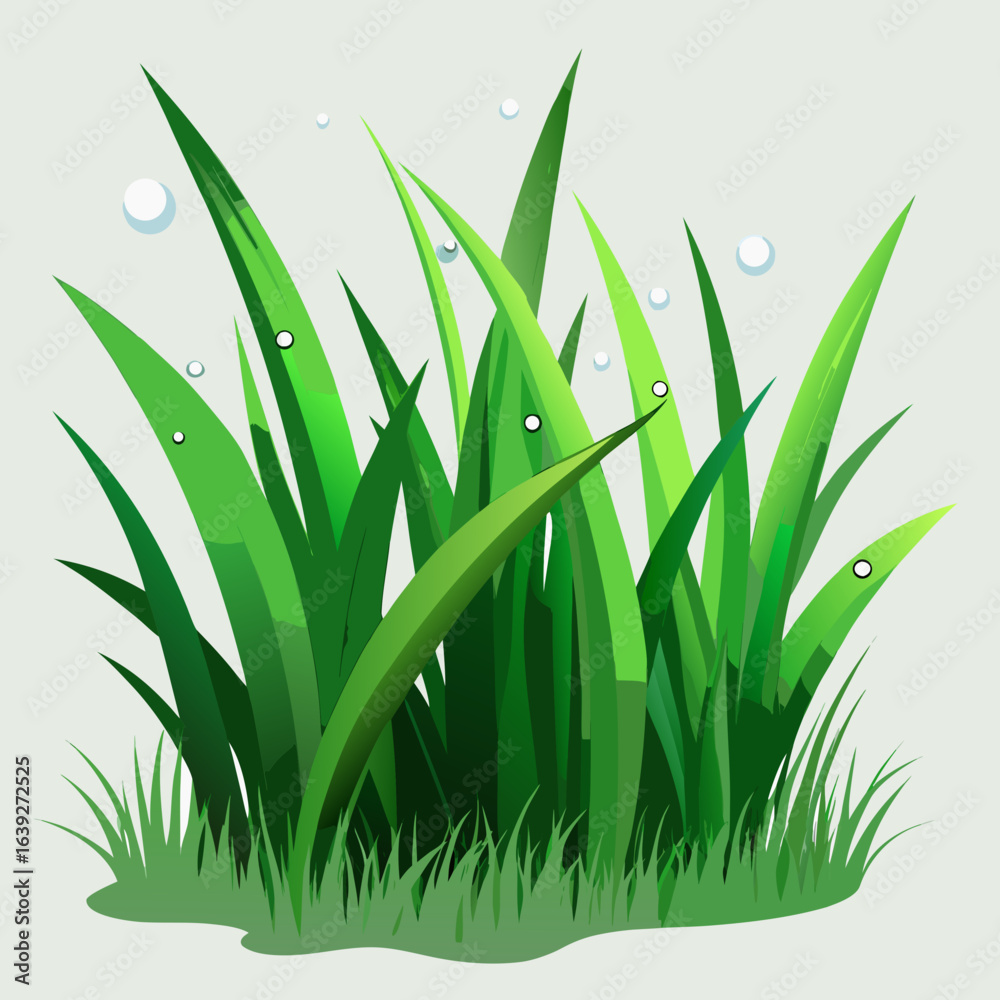 Fototapeta premium fresh green grass