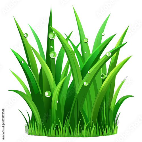 green grass on white background