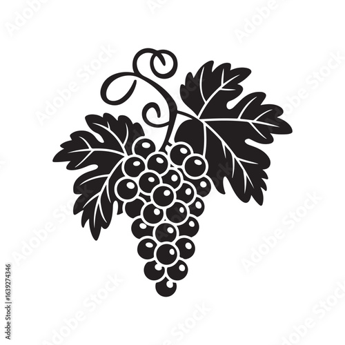 Elegant Grape Silhouette with Leaves – Vineyard Fruit Vector Illustration for Winery Logo, Wine Label, Packaging Design, Vineyard Branding, and Decorative Graphic Elements