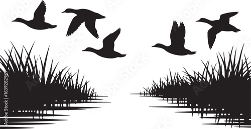 Silhouette Flying Ducks over Wetland with Marsh Grass Black on White Isolated