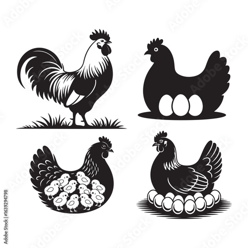 rooster and hens silhouette with eggs and chicks in a farm setting