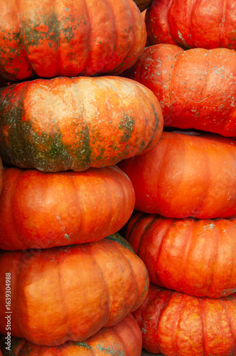 Stack of large, round orange pumpkins with natural green mottling. Perfect for autumn, Halloween, or harvest-themed projects. The rich textures and earthy tones evoke a rustic and seasonal atmosphere