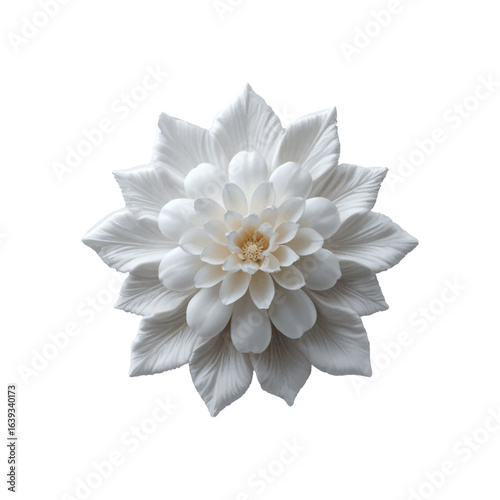Wallpaper Mural White Dahlia Flower Close-Up Torontodigital.ca