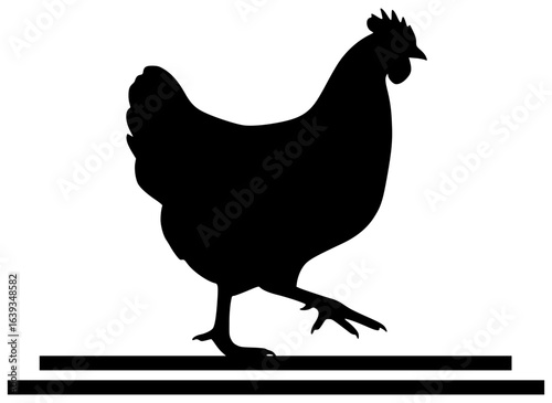 Chicken eating food and playing with ball on farm while running freely outside
