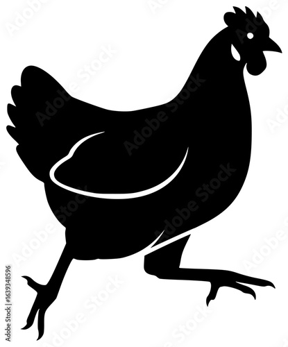 Chicken eating food and playing with ball on farm while running freely outside