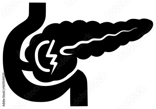 pancreas in human body produces digestive enzymes plays crucial role with metabolism behind stomach as endocrine gland secreting insulin