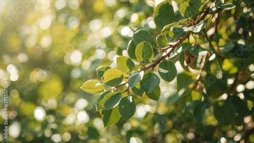 Captivating green leaf patterns combined with bokeh backgrounds