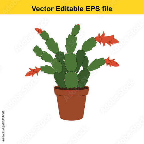 Indoor plant vector art of christmas cactus with red flowers in a pot, isolated on white background
