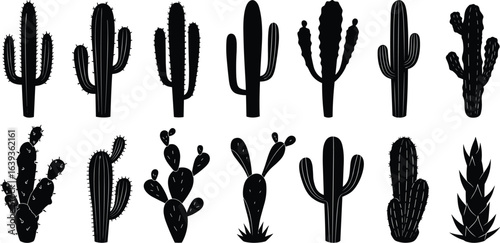 Desert Cactus vector silhouette set, different shapes of cactus, cacti plants silhouette, black botanical icon, succulent plant logo, wild west flora, simple flat drawing.