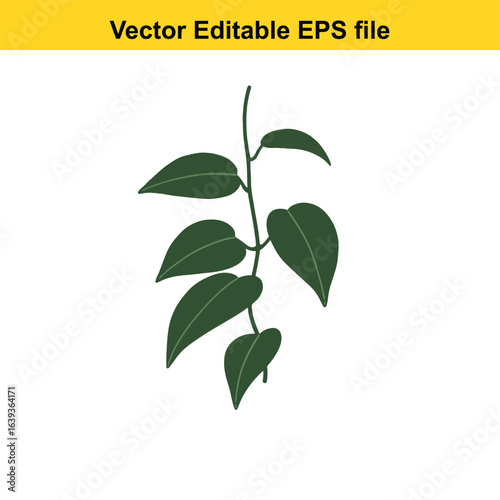 Indoor plant vector art of green plant stem with leaves isolated on white background