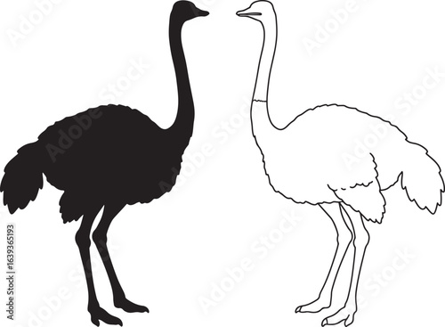Ostrich Silhouette and Outline Illustration